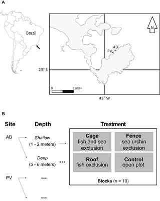 The Biophysical Controls of Macroalgal Growth on Subtropical Reefs